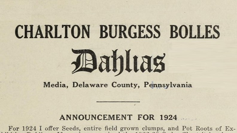 Catalog of Charlton Burgess Bolles Dahlias 1924