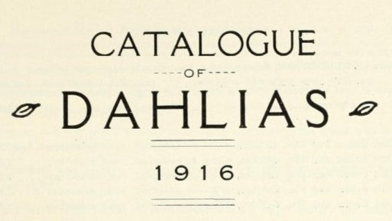 Catalog of Cottam & Son, Dahlia Specialists 1916