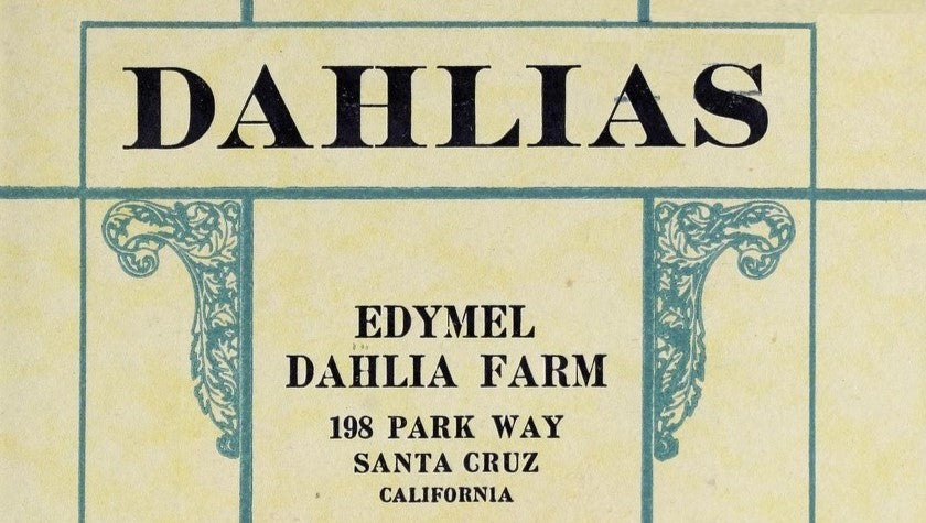 Catalog of Edymel Dahlia Farm 1924