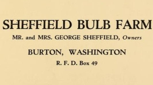 Catalog of Sheffield Bulb Farm 1927