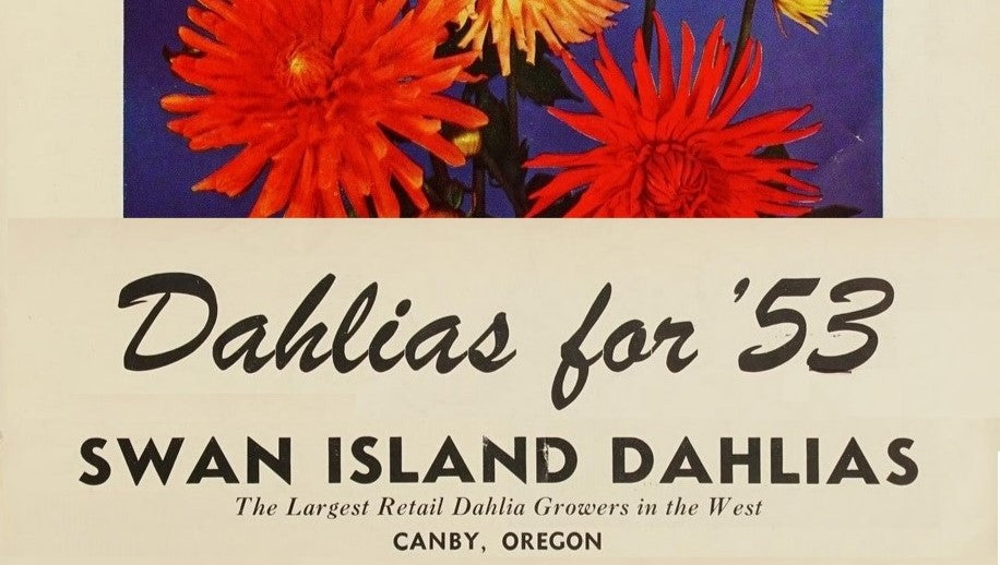 Catalog of Swan Island Dahlias 1953