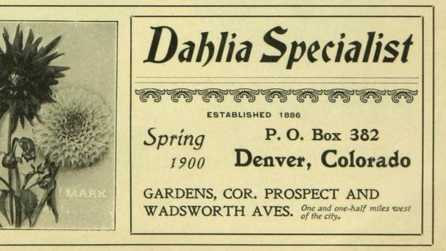 Catalog of  Wilmore Dahlia Specialist 1900