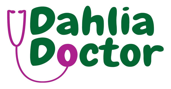 Dahlia Doctor